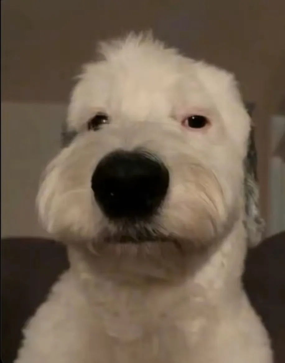 od2h